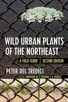 portada Wild Urban Plants of the Northeast: A Field Guide (en Inglés)
