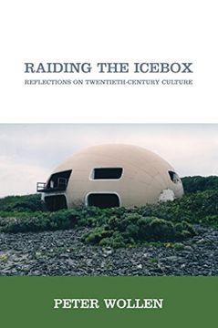 portada Raiding the Icebox: Reflections on Twentieth-Century Culture 