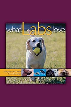 portada What Labs Love