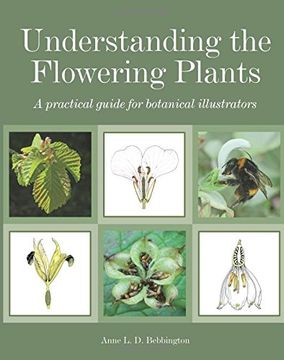 portada Understanding the Flowering Plants: A Practical Guide for Botanical Illustrators