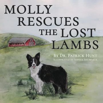 portada Molly Rescues the Lost Lambs (The Adventures of Molly the Border Collie) (en Inglés)