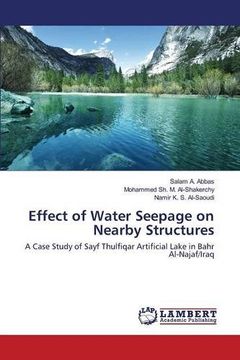 portada Effect of Water Seepage on Nearby Structures