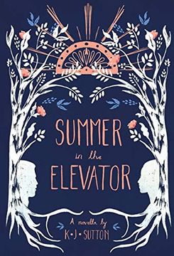 portada Summer in the Elevator: A Novella (en Inglés)