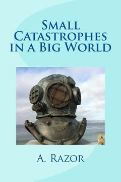 portada Small Catastrophes in a Big World (en Inglés)