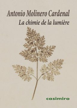portada La Chimie de la Lumière (in French)