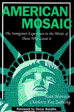 portada american mosaic (en Inglés)