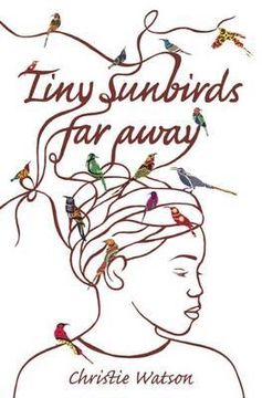 portada tiny sunbirds far away (en Inglés)