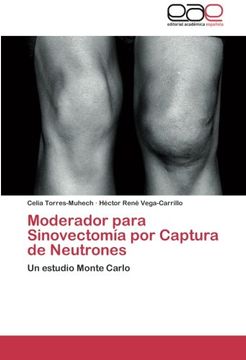 portada Moderador para Sinovectomía por Captura de Neutrones: Un estudio Monte Carlo