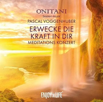 portada Erwecke die Kraft in Dir: Live Meditations-Konzert (in German)