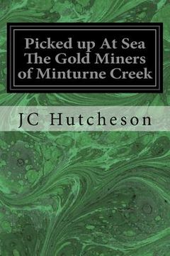 portada Picked up At Sea The Gold Miners of Minturne Creek (en Inglés)