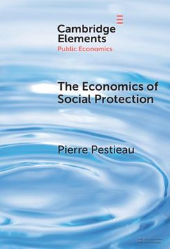 portada The Economics of Social Protection (Elements in Public Economics) (en Inglés)
