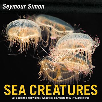 portada Sea Creatures 