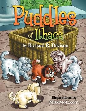 portada puddles of ithaca (en Inglés)