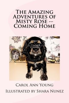 portada The Amazing Adventures of Misty Rose -- Coming Home (Volume 1)