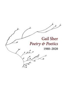 portada Gail Sher Poetry & Poetics 1980-2020 (en Inglés)