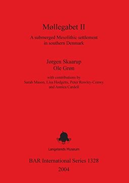 portada Møllegabet II: A submerged Mesolithic settlement in southern Denmark (BAR International Series)