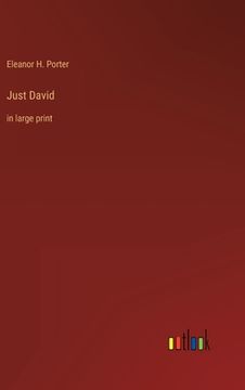 portada Just David: in large print (in English)