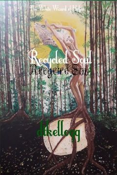 portada Recycled Soul: The white wizard of Hofjar (en Inglés)