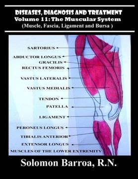 portada Diseases, Diagnosis and Treatment (The Muscular System) (Volume 11)