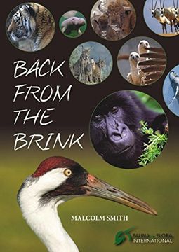 portada Back from the Brink (in English)