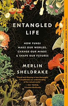 portada Entangled Life: How Fungi Make our Worlds, Change our Minds & Shape our Futures (in English)