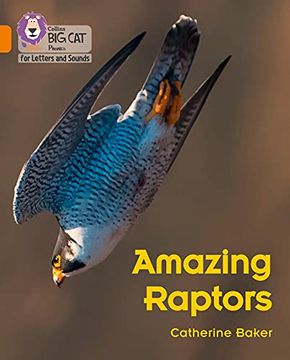 portada Amazing Raptors: Band 06 (in English)