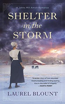 portada Shelter in the Storm: 1 (Johns Mill) (en Inglés)