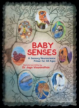 portada Baby Senses: A Sensory Neuroscience Primer for All Ages (en Inglés)