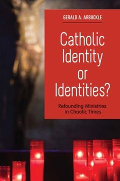 portada Catholic Identity or Identities?: Refounding Ministries in Chaotic Times (in English)