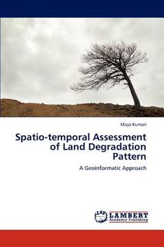portada spatio-temporal assessment of land degradation pattern