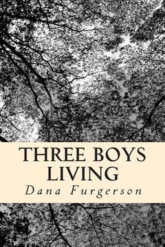 portada Three Boys Living (in English)