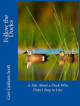 portada Follow the Ducks: A Tale about a Duck Who Didn't Stay in Line