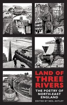 portada Land of Three Rivers: The Poetry of North-East England