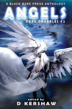 portada Angels: A Divine Microfiction Anthology (en Inglés)