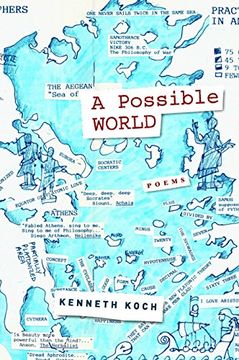 portada A Possible World (in English)