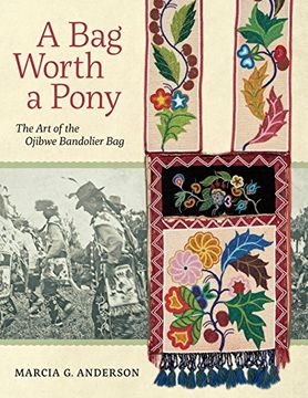portada A Bag Worth a Pony: The Art of the Ojibwe Bandolier Bag (en Inglés)