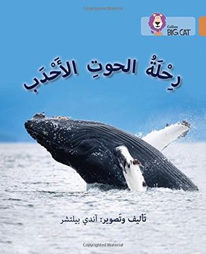 portada Journey of Humpback Whales: Level 12 (Collins Big Cat Arabic Reading Programme)