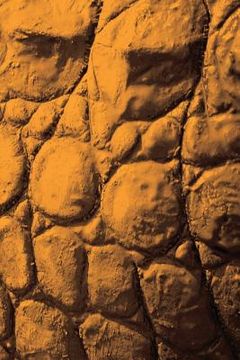 portada Alive! crocodile skin - Sepia - Photo Art Notebooks (6 x 9 series): by Photographer Eva-Lotta Jansson (en Inglés)
