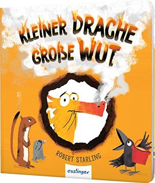 portada Kleiner Drache Finn: Kleiner Drache, Große wut (in German)