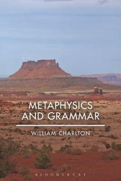 portada Metaphysics and Grammar (in English)