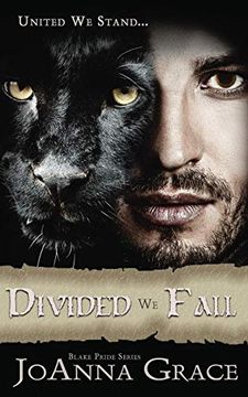 portada Divided We Fall (en Inglés)