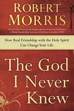 portada The god i Never Knew: How Real Friendship With the Holy Spirit can Change Your Life 