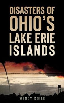 portada Disasters of Ohio S Lake Erie Islands