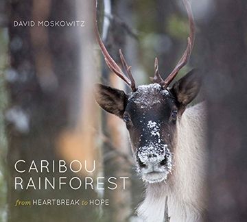 portada Caribou Rainforest: From Heartbreak to Hope (in English)