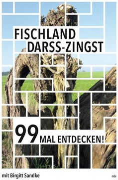 portada Fischland-Darß-Zingst 99 mal Entdecken! (in German)