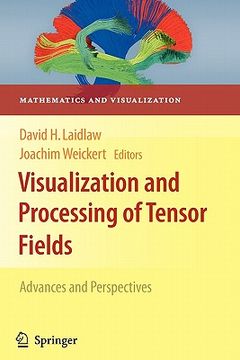 portada visualization and processing of tensor fields: advances and perspectives (en Inglés)