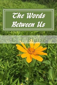 portada The Words Between Us (en Inglés)