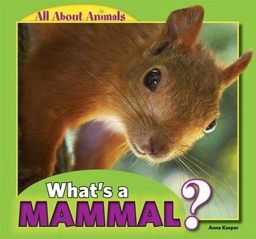 portada what`s a mammal?
