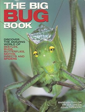 portada The big bug Book by Barbara Taylor (2010-05-04) (en Inglés)