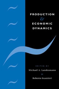 portada Production and Economic Dynamics (in English)